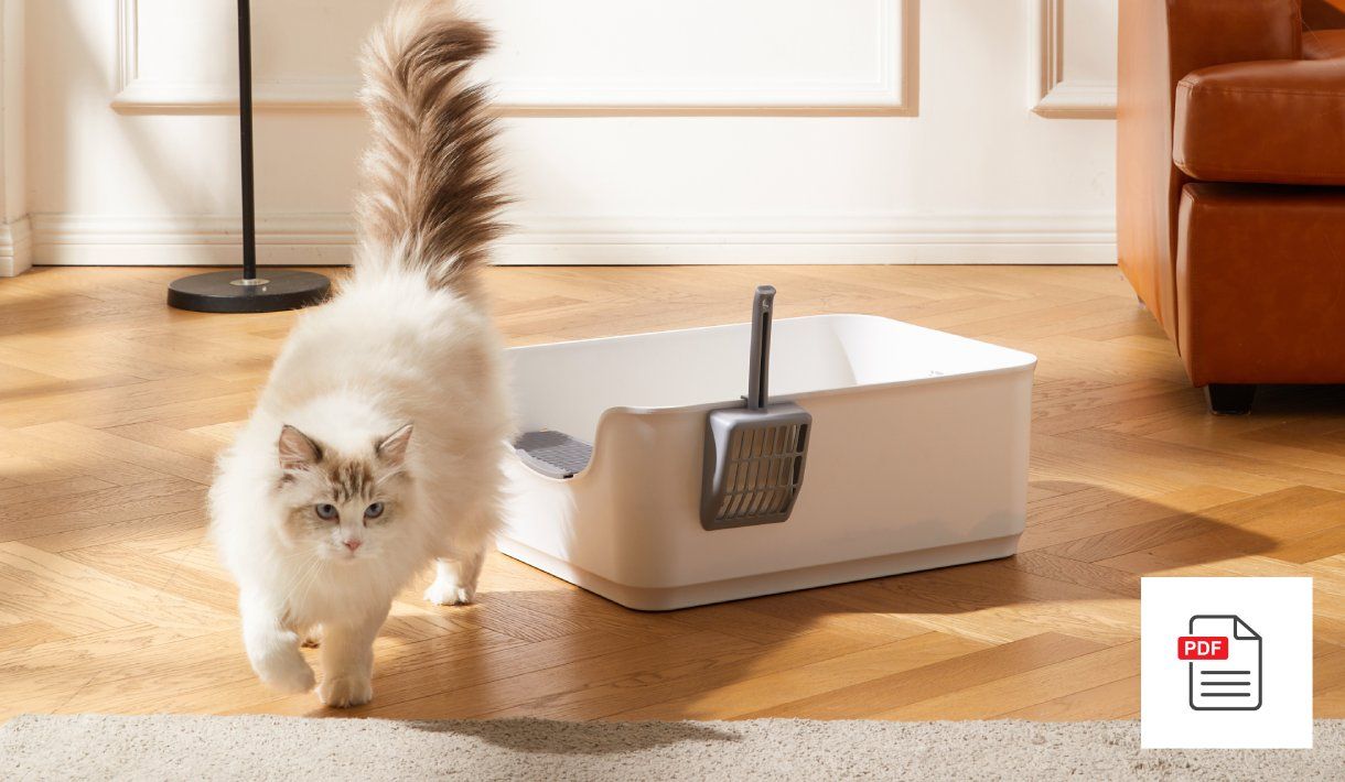 Stubenreinheit bei Katzen fördern sowie seelische und körperliche Komponenten erkennen - Katzen Homöopathie Anleitung