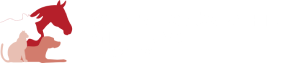 Katzen Homöopathie Anleitung online kaufen - 2