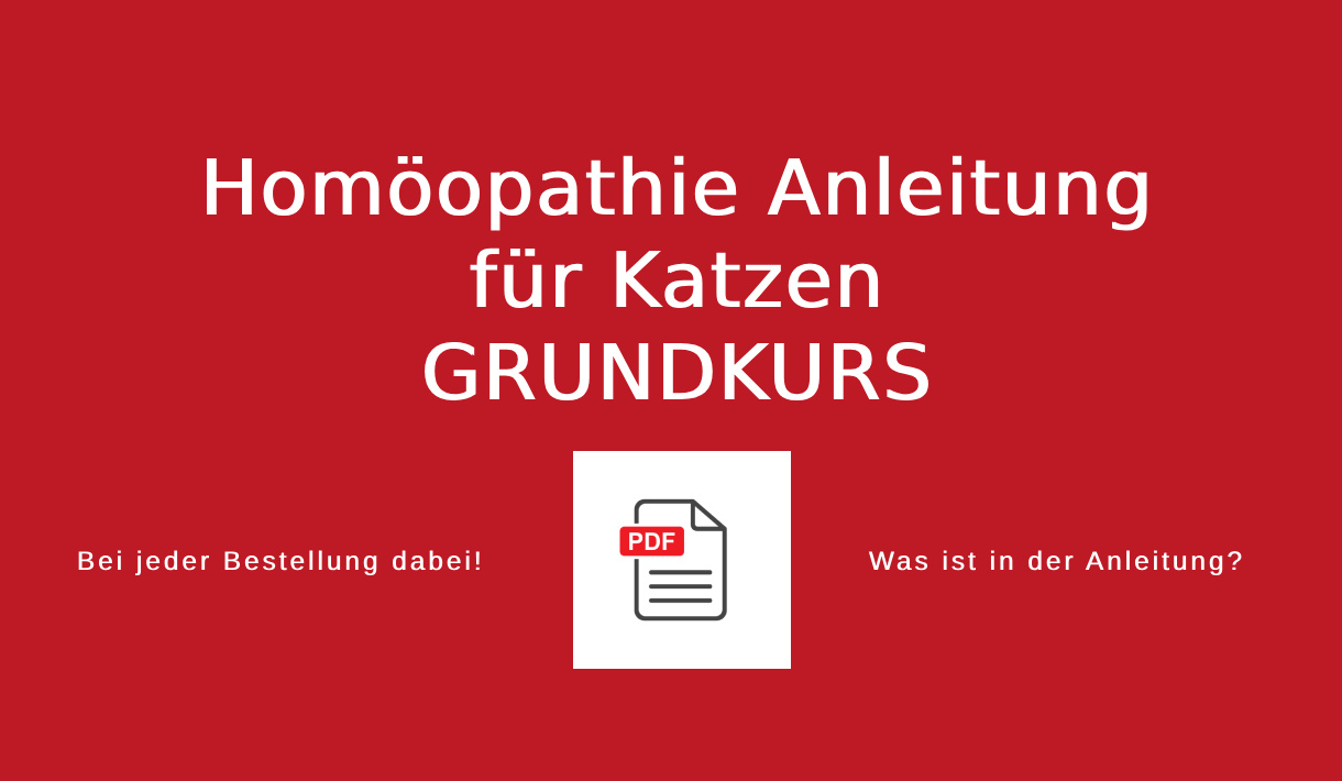Homöopathie Anleitung für Katzen Grundkurs