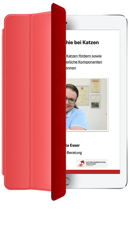 Katzen Homöopathie Anleitung online kaufen