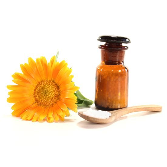 Katze Homöopathie Anleitung Hilfe