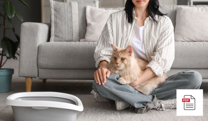 Katze Darmprobleme Allgemein Paket - Katzen Homöopathie Anleitung