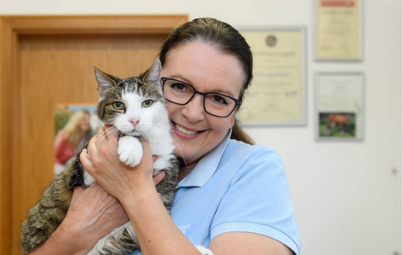 Katzen Homöopathie Anleitung - Angela Esser - Info