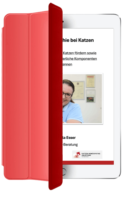 Katzen Homöopathie Anleitung online kaufen