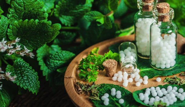 Anleitung für die Anwendung der Homöopathie bei Katzen